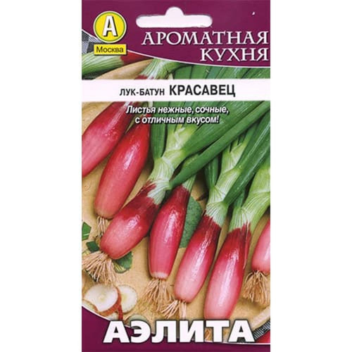 Семена Лук батун Красавец Аэлита Ц/10/