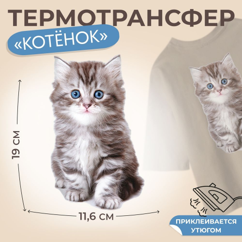 Термонаклейка для ткани "Енот" 16,5*19см /5/
