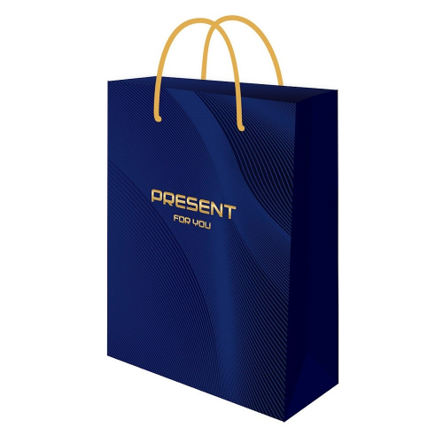 Пакет подарочный "Present", 22*31*10см, глянц.лам./12/