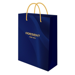 Пакет подарочный "Present", 22*31*10см, глянц.лам./12/